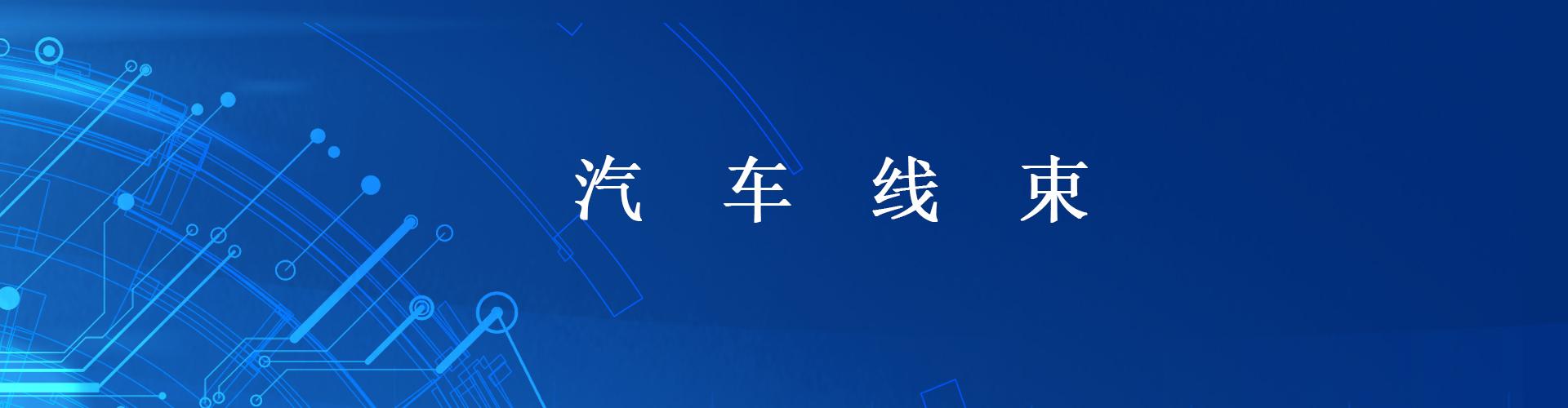 方向盘按键开关总成-IX25